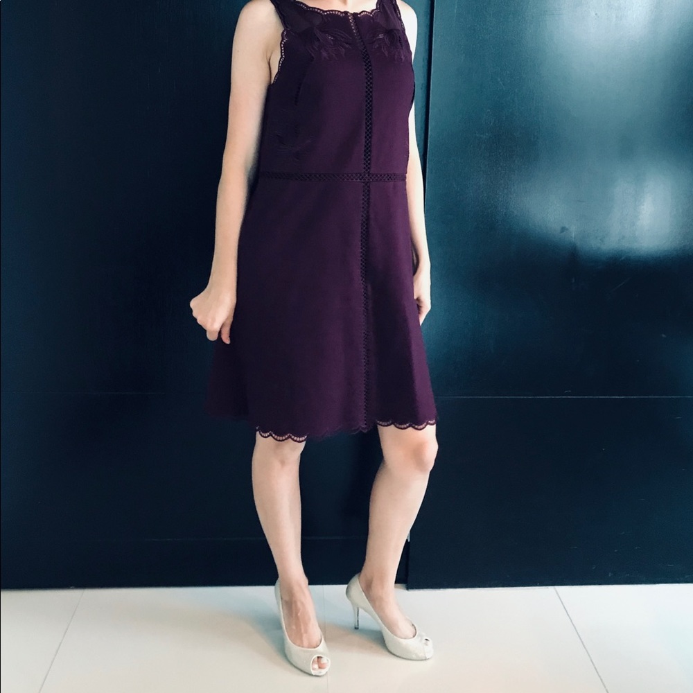 Ted Baker New with tag dress, size 3